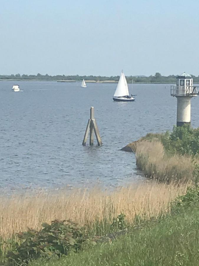 De Lauwersmeer Vogel Mit Eingezaeuntem Garten أنيوم المظهر الخارجي الصورة