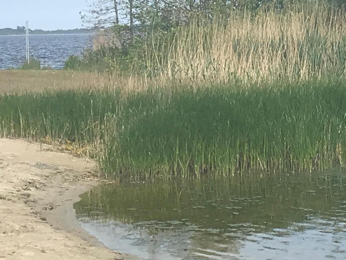 De Lauwersmeer Vogel Mit Eingezaeuntem Garten أنيوم المظهر الخارجي الصورة